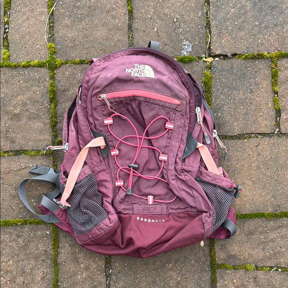 The North Face Borealis Backpack in Burgundy